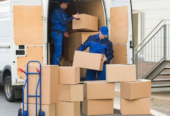 Customs Clearance & Maritime Shipping