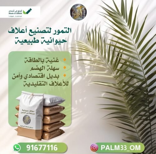 النخلة العمانية