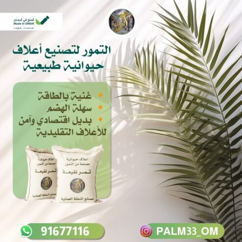 النخلة العمانية