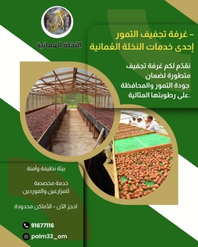 النخلة العمانية