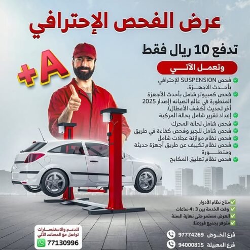 Professional Car Inspection Offer – Only 10 OMR